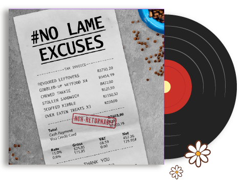 Just One More Project - A record album showing the campaign's logo with bold typography.